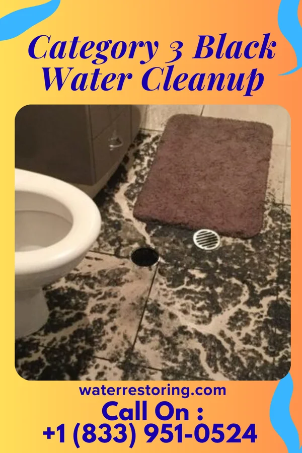 Category 3 Black Water Cleanup in Winsted, MN