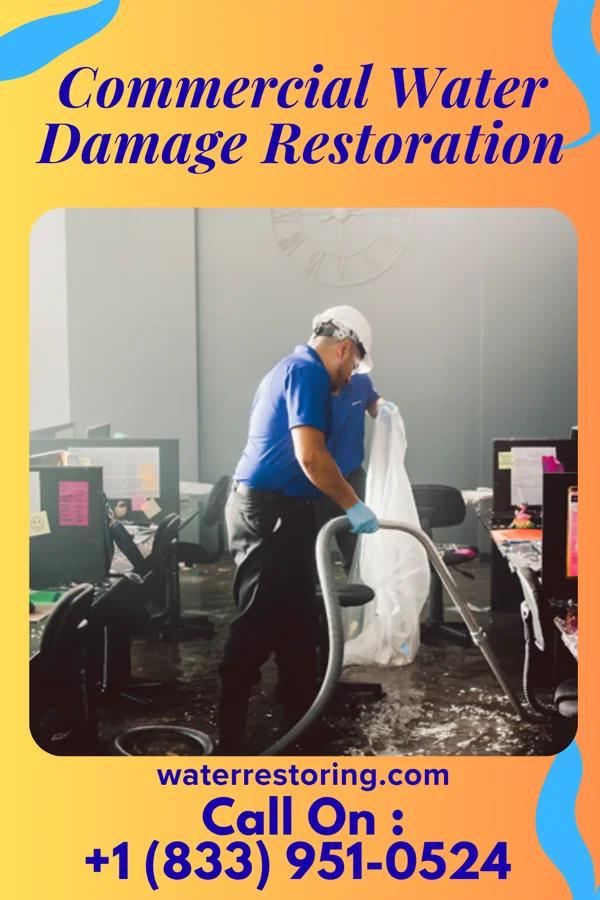 Commercial Water Damage Restoration in Winsted, MN