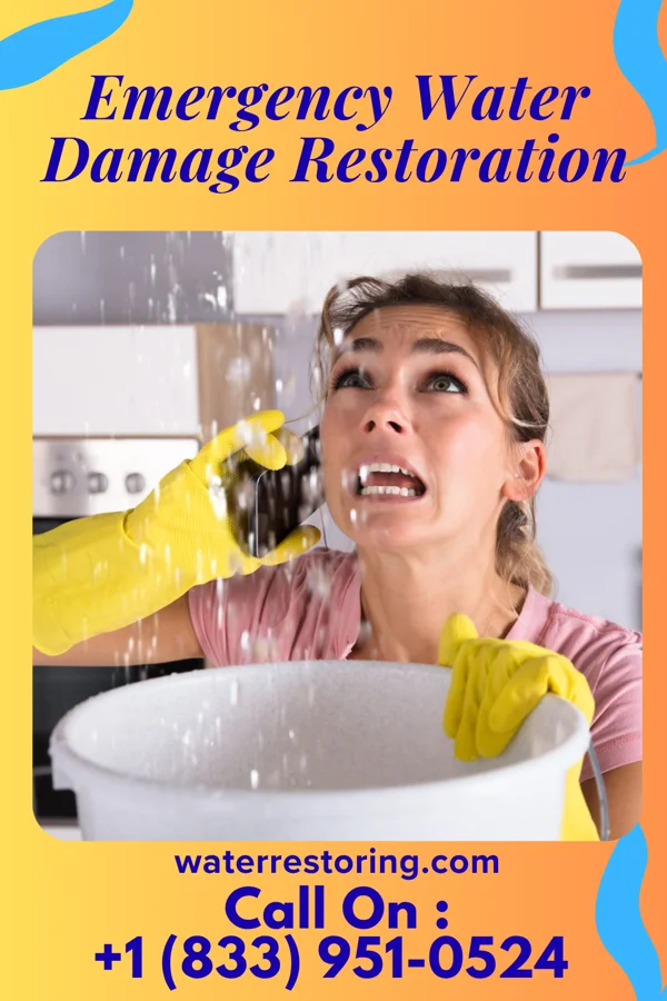 Emergency Water Damage Restoration in Winsted, MN