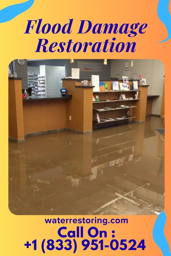 Flood Damage Restoration in Winsted, MN