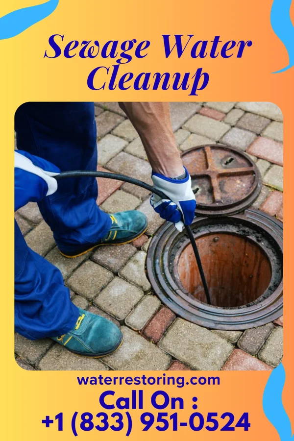 Sewage Water Cleanup in Winsted, MN