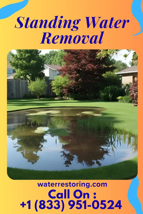 Standing Water Removal in Winsted, MN